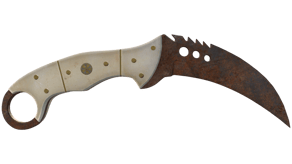 Rust Coat image