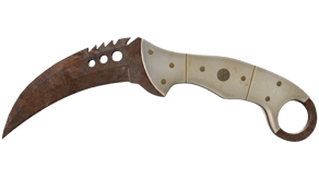 Rust Coat image