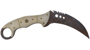 Rust Coat image