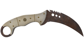 Rust Coat image