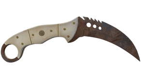 Rust Coat image
