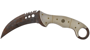 Rust Coat image