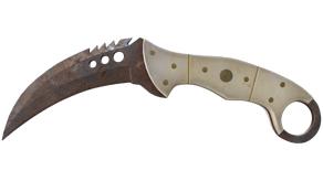 Rust Coat image