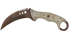 Rust Coat image