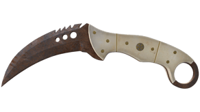 Rust Coat image