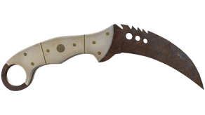 Rust Coat image