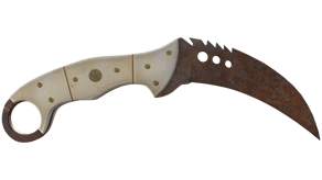 Rust Coat image