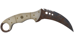 Rust Coat image