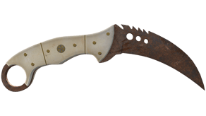 Rust Coat image