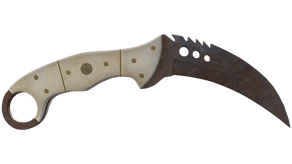 Rust Coat image