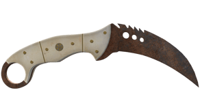 Rust Coat image
