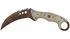 Rust Coat image