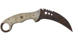 Rust Coat image
