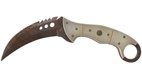 Rust Coat image