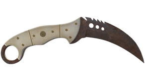 Rust Coat image