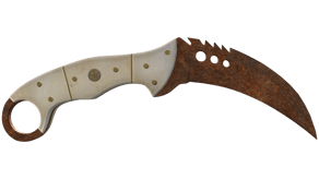 Rust Coat image