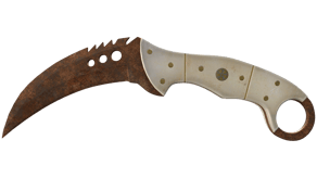 Rust Coat image