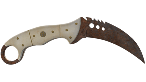 Rust Coat image