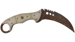 Rust Coat image
