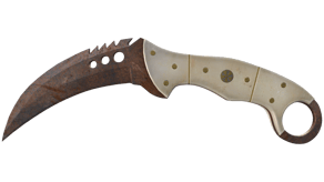 Rust Coat image