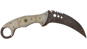 Rust Coat image