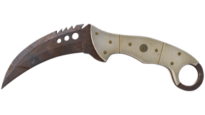 Rust Coat image