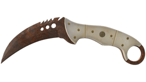 Rust Coat image