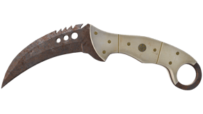 Rust Coat image
