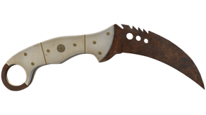 Rust Coat image