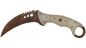 Rust Coat image