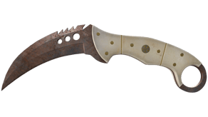 Rust Coat image