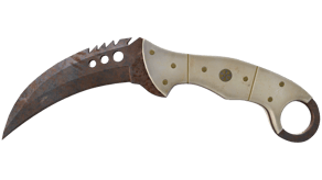 Rust Coat image