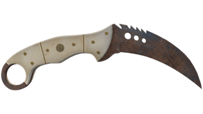 Rust Coat image