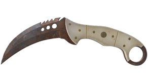 Rust Coat image