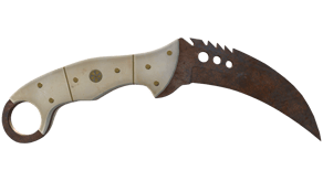 Rust Coat image