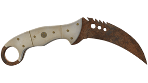Rust Coat image