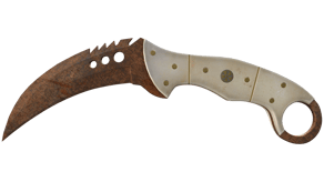 Rust Coat image