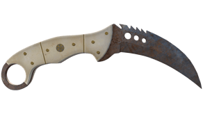 Rust Coat image