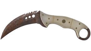 Rust Coat image