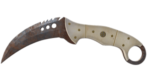Rust Coat image