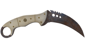 Rust Coat image