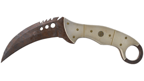 Rust Coat image