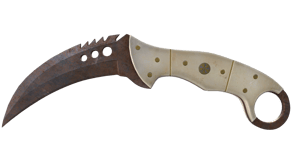 Rust Coat image