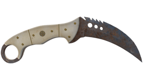 Rust Coat image