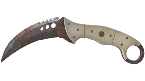 Rust Coat image