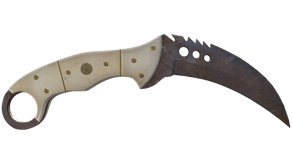 Rust Coat image