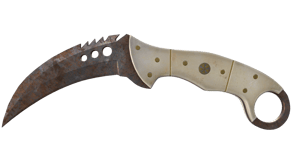 Rust Coat image