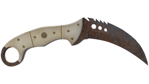 Rust Coat image