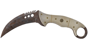 Rust Coat image