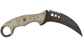 Rust Coat image